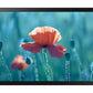 Samsung SMART LCD Signage QB24R-TB